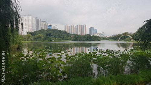 호수공원, Lake park, 한국, 고양시, 일산호수공원
