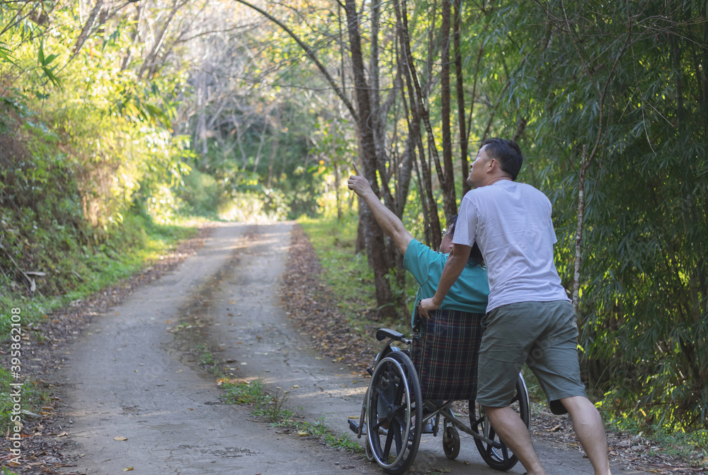Rear view of disabled handicapped man in wheelchair and care helper walking in park. Rear view of disabled handicapped man in wheelchair and care helper walking in park.