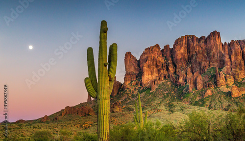 The sunset lighting up a mountain and cactus in the Arizona desert with the moon in the background photo