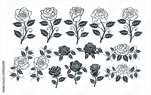rose flower vector graphic design template set for sticker, decoration, cutting and print file