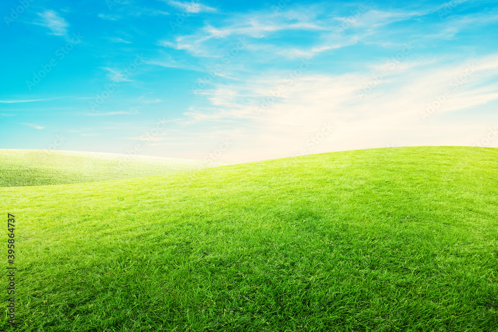 Landscape view green grass meadow field with white clouds and blue sky in summer seasonal.