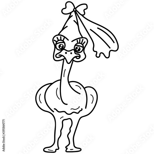 Ostrich Bird Cartoon 