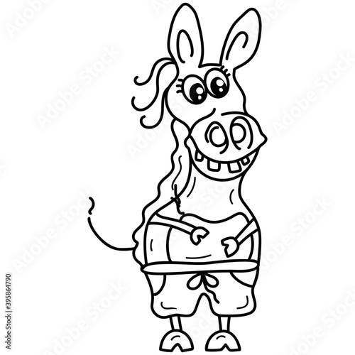 Donkey Cartoon Animal