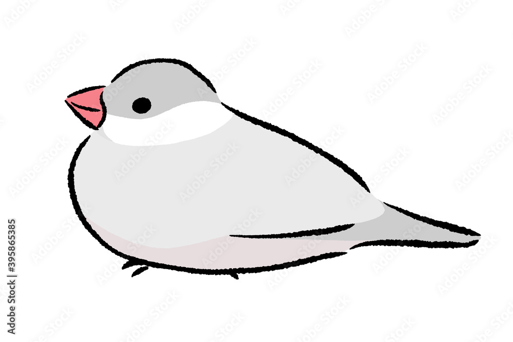 Fototapeta premium ちょこんとたたずむ文鳥 シルバー
