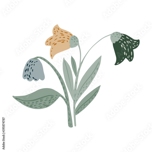 Beautiful bellflower isolated on white background. Scandinavian botanical flower in doodle.
