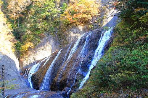 view of the waterfall in autumn photo