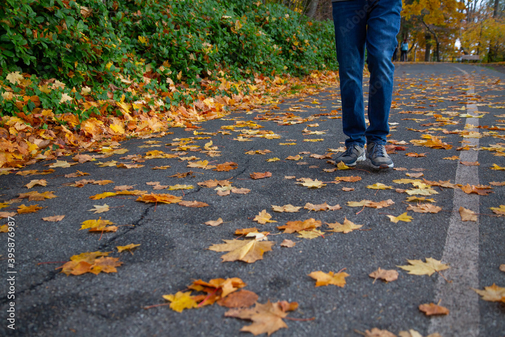 a man walking on the street in fall image a man walking on the street in fall image