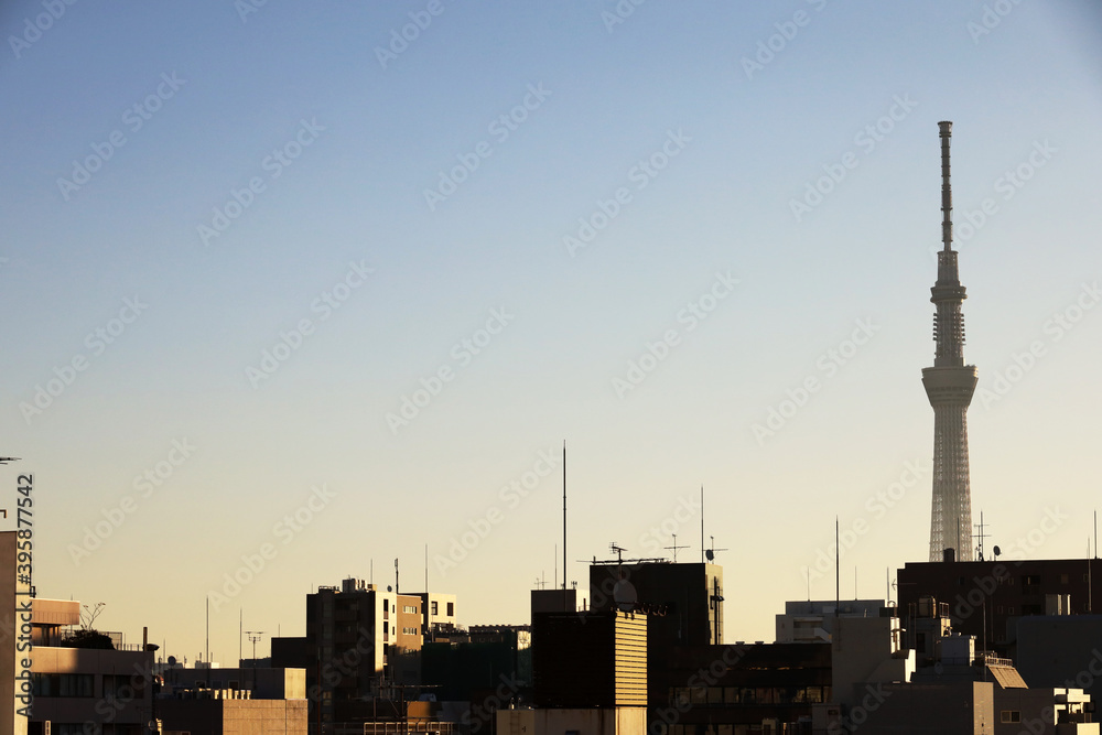 Fototapeta premium Beautiful sunset and mountain landscape in evening at tokyo, Japan.