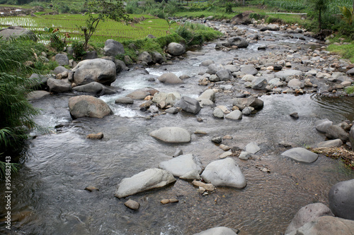 So many stone in the river. A river full of rocks surrounded by rice fields, fields and hills. Wild river flows in Bogor, Indonesia.