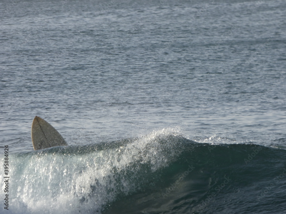 Fototapeta premium Surf