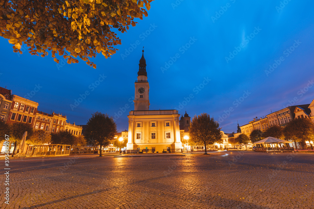 Obraz premium Leszno City hall at evening