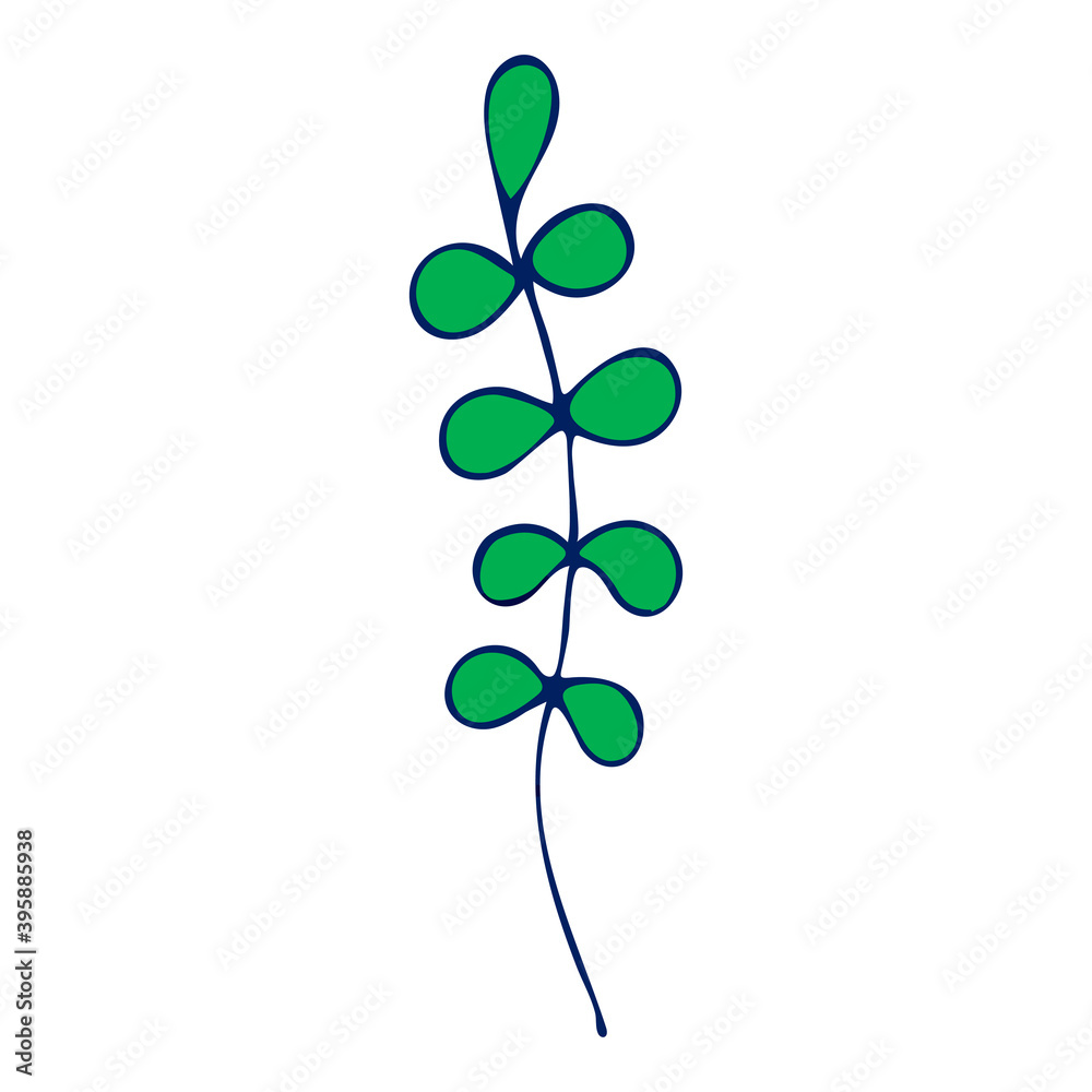 Obraz premium Vector Colored seaweed illustration on white background.