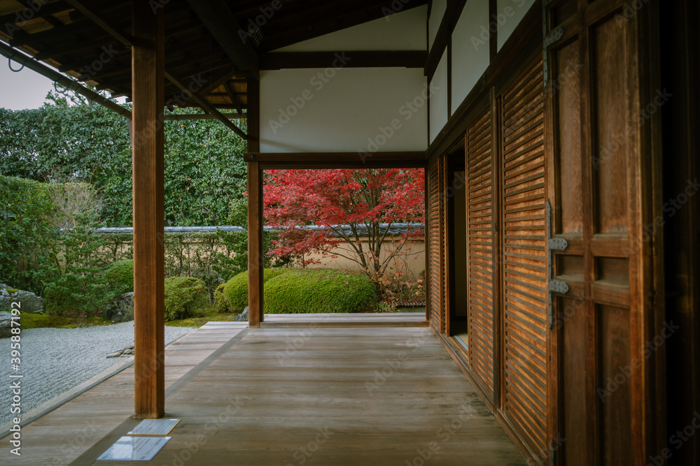 秋の京都、紫野の大徳寺塔頭 興臨院の庭園