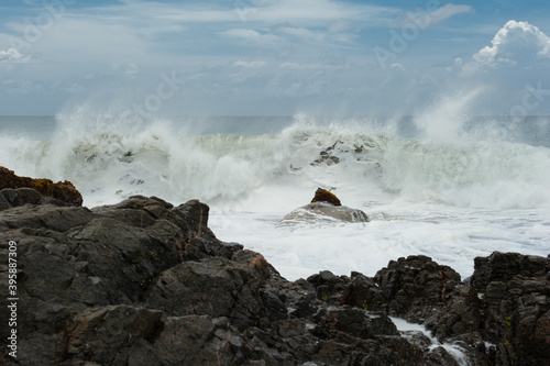 Baja California Sur  Pacific Ocean photo