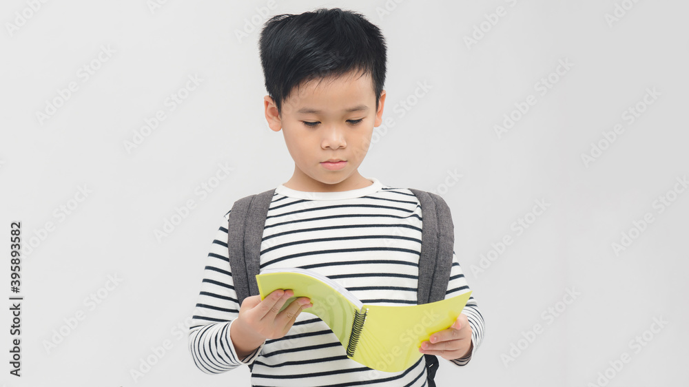School boy reading a book - isolated over a white background School boy reading a book - isolated over a white background