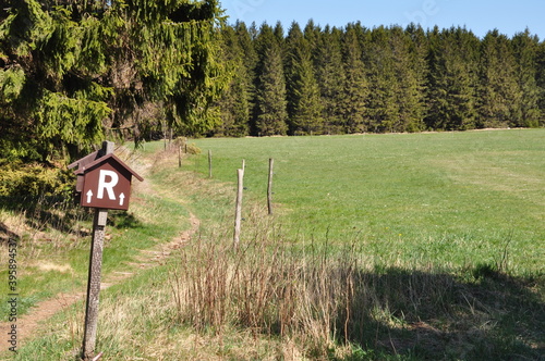 Herbst am Rennsteig photo