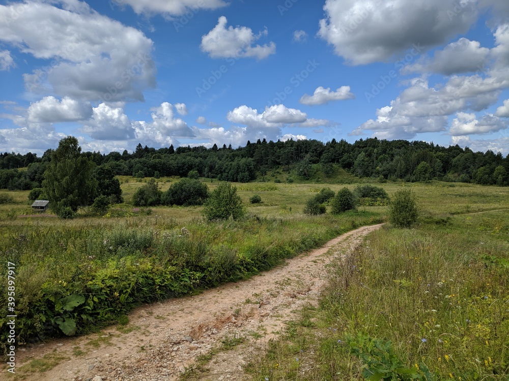 the country road