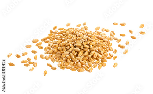 Wheat seeds isolated on white background, top view