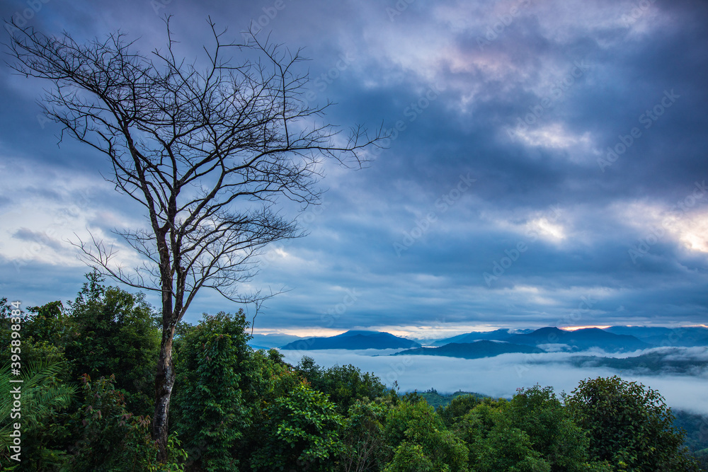 Beautiful sea of mist  on high mountain in Mae Moei National park, Tak province, Thailand.