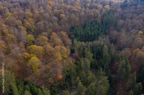 Herbststraße von Oben