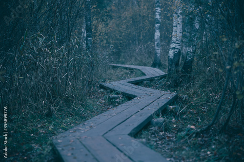 A wooden pathway trough the coniferous forest in dark tones