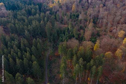 Herbststraße von Oben