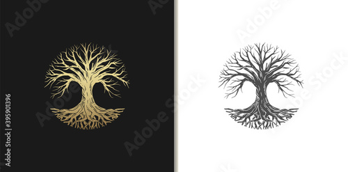 Root or tree, tree of life vector symbol with a circle shape. Beautiful illustration of isolated root with gold color.	
