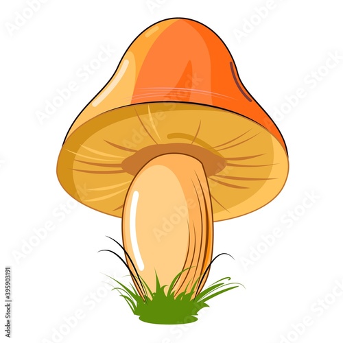 Mushroom. Isolated on white background. Cute cartoon style. Beautiful illustration. With grass. Vector