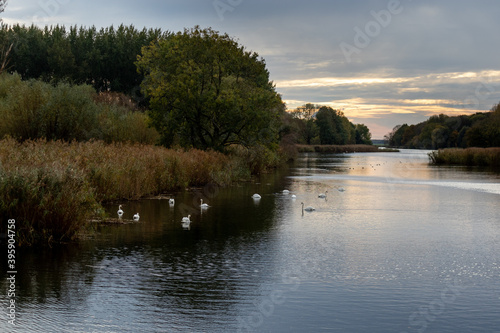 Bleeke Kil with birds in the water in the autumn in The Netherlands photo