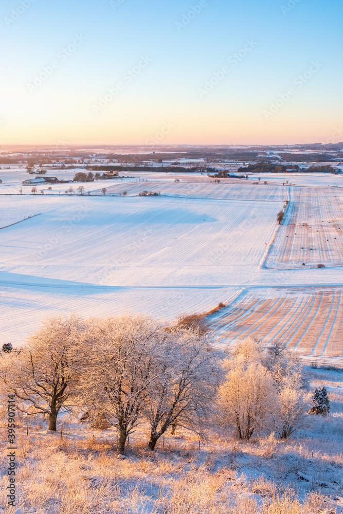 Fototapeta premium Frosty trees in a scenics winter landscape