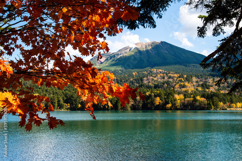 秋のオンネトー（北海道・足寄町） 　湖、紅葉（赤）、雌阿寒岳