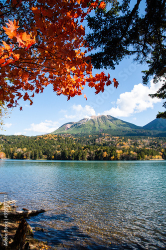 秋のオンネトー（北海道・足寄町） 　湖、紅葉（赤）、雌阿寒岳