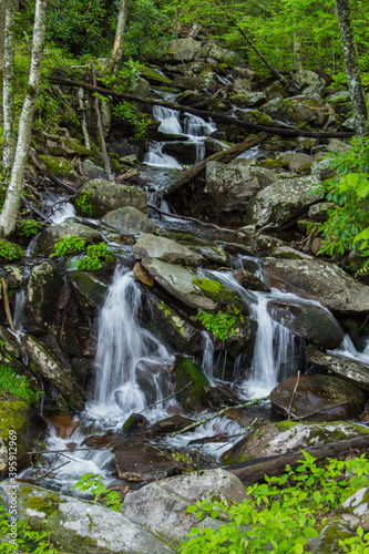 Fototapeta Naklejka Na Ścianę i Meble -  Great Smoky Mountain waterfall landscape in vertical orientation. 