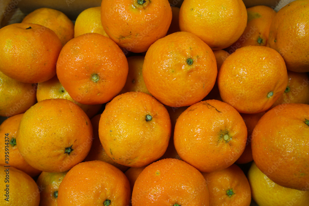 Close up of many ripe raw orange mandarins for natural food background (focus on center) Close up of many ripe raw orange mandarins for natural food background (focus on center)
