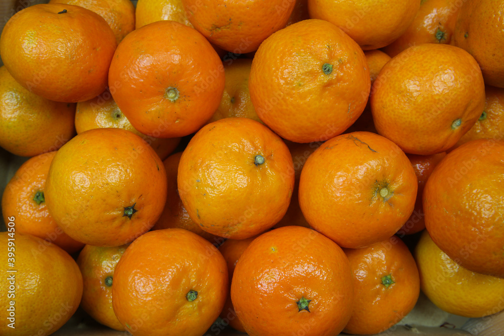Close up of many ripe raw orange mandarins for natural food background (focus on center) Close up of many ripe raw orange mandarins for natural food background (focus on center)