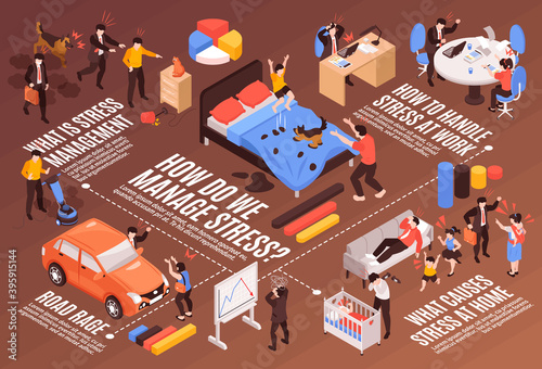 Stress Isometric Flowchart