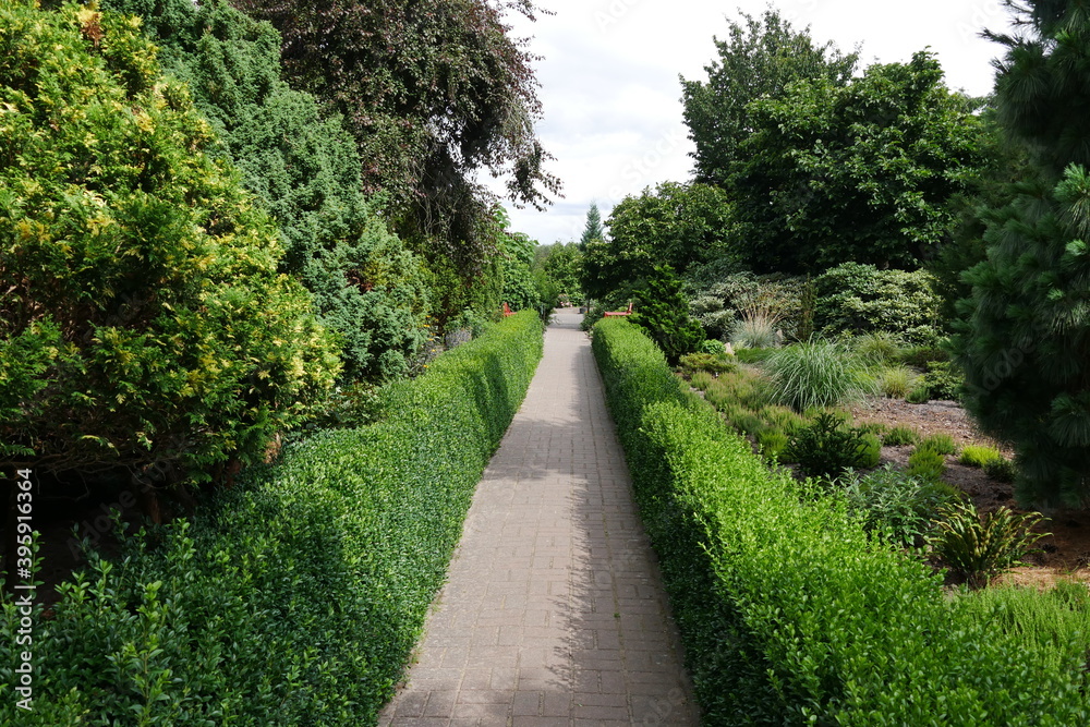 Hecken im botanischen Garten, blühender Traumgarten, Paradiesgarten, Grünoase, Staudengarten und Parkanlage