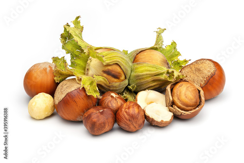 Hazelnuts collection. Green unripe and fresh picked filbert isolated on white background.