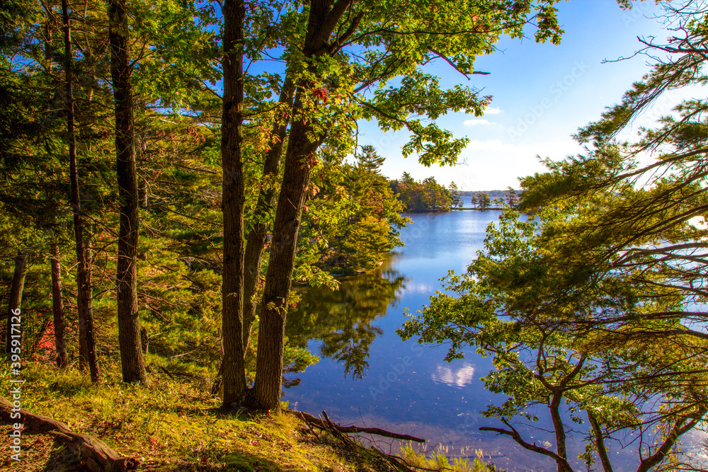 Forest On Inland Lake. Forest on the edge of a freshwater inland lake in Ludington State Park in the Lower Peninsula of Michigan. Forest On Inland Lake. Forest on the edge of a freshwater inland lake in Ludington State Park in the Lower Peninsula of Michigan.