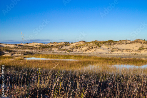 Interdunal Pond. Rare freshwater interdunal pond on the coast of Lake Michigan in Ludington State Park.