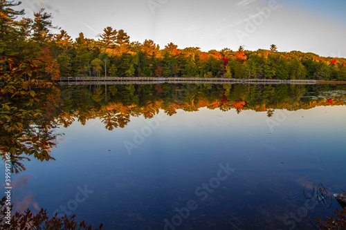 Fall colors reflected in the waters of Lost Lake along boardwalk hiking trail in Ludington State Park in Michigan. photo