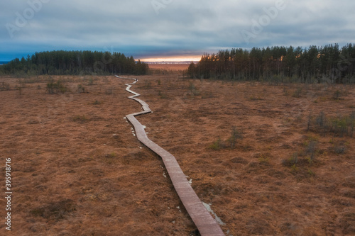 Obraz na plátne walking wooden trail among yellow autumn swamps on the sunset