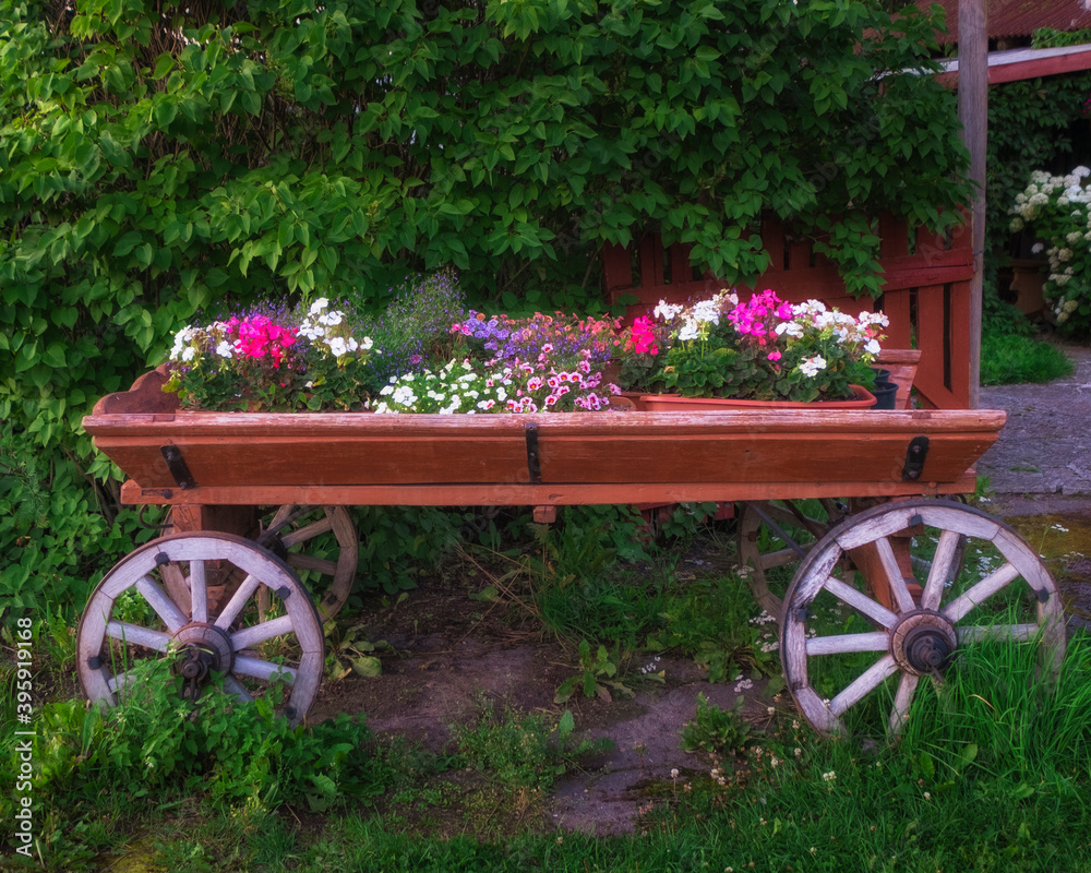Old wooden cart in the Retro style decorated with petunia flowers