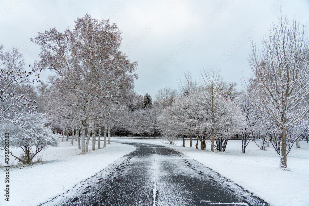 雪景色 雪景色