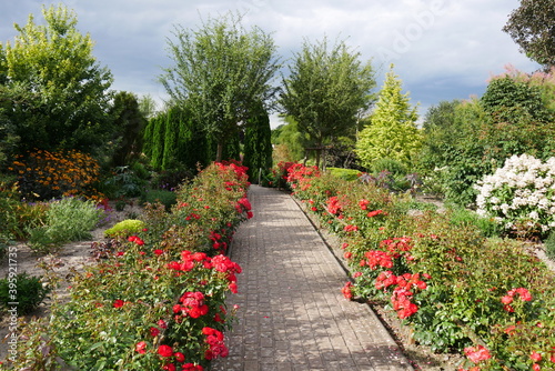 Botanischer Garten in Mecklenburg-Vorpommern als Traumgarten  Staudengarten und m  rchenhaften Park