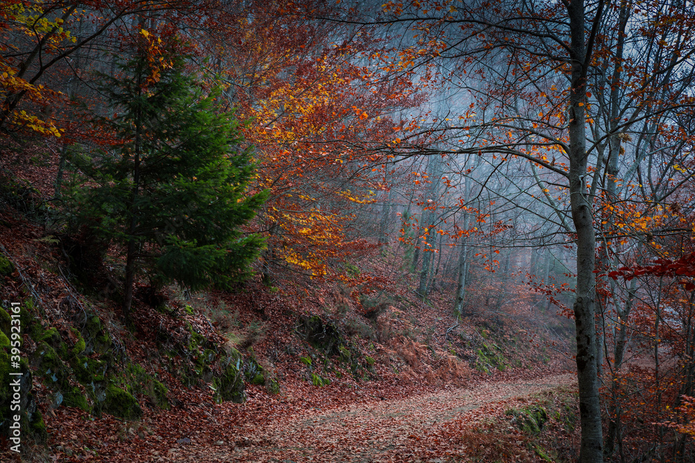 Beautiful autumn forest landscape in Manteigas, Portugal