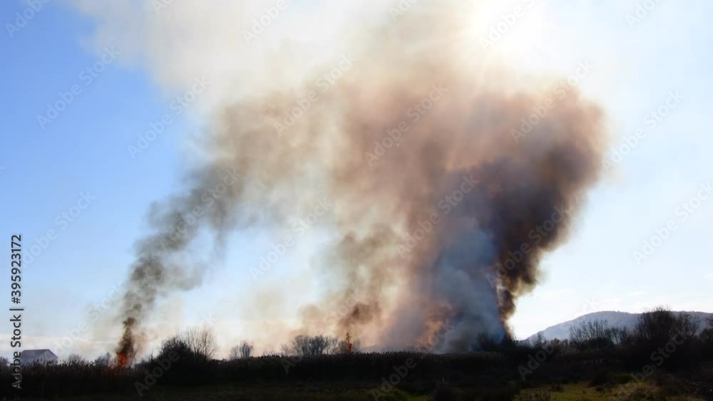 Wildfire in the field with dry grass, corn fields, reeds. Thick black smoke rises high and the sun is seen behind the smoke. Wildfire in the field with dry grass, corn fields, reeds. Thick black smoke rises high and the sun is seen behind the smoke.