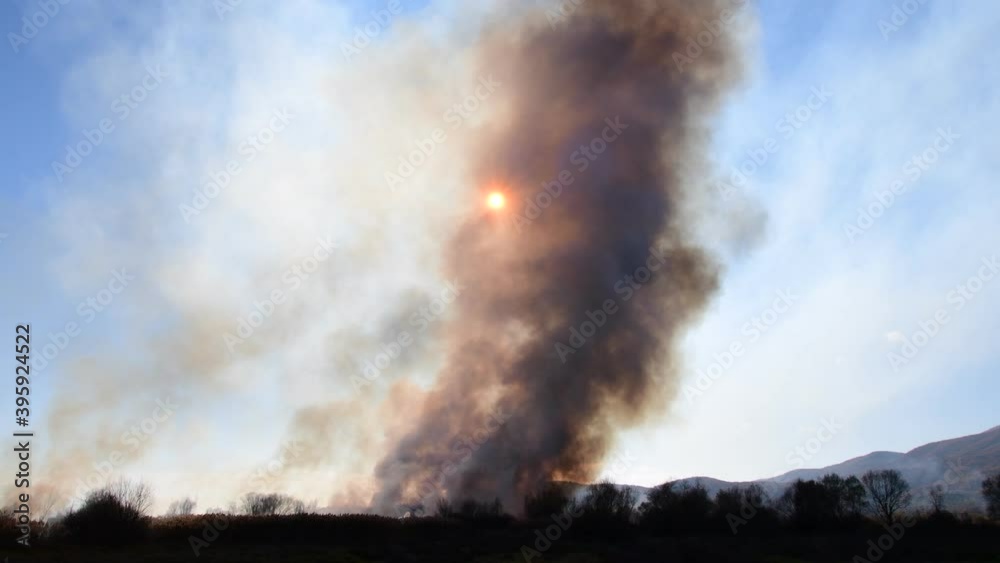Wildfire in the field with dry grass, corn fields, reeds. Thick black smoke rises high and the sun is seen behind the smoke. Wildfire in the field with dry grass, corn fields, reeds. Thick black smoke rises high and the sun is seen behind the smoke.