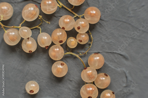 White currants on a gray concrete background. Ripe berries
