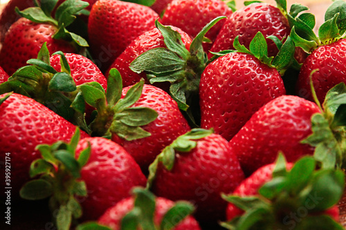 Frutos Rojos